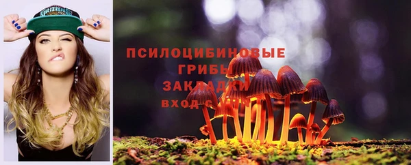 шишки Алексин