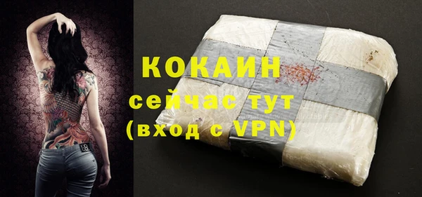 стаф Абинск